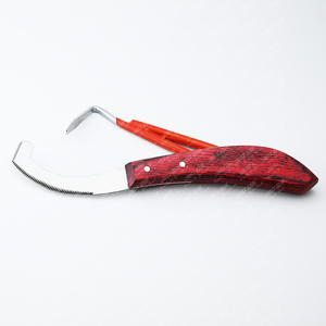 Cuchillo de huevo Bot para el cuidado de los equinos de alta calidad, cuchillo de acero resistente a la oxidación, limpieza, recorte, raspador de huevos, mango ergonómico antideslizante - Product Image 1
