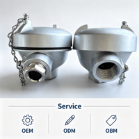 Sonde thermocouple flexible à isolation minérale TDCAST pour solutions de contrôle et de surveillance de la température industrielle de haute précision