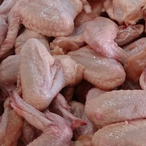 Comprar Alitas de Pollo Enteras Congeladas y Procesadas - Product Image 3