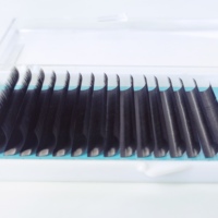 Extensions de cils personnalisées avec logo, faites à la main, en fibre HY LON, 8-15 mm, classiques, de haute qualité, 0,15 mm, volume complet premium