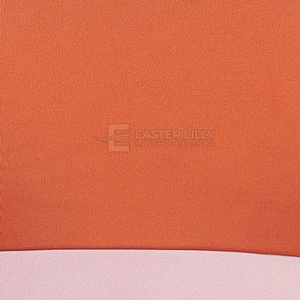 Conjunto de Yoga para Mujer al por Mayor Más Vendido, Último Diseño, Conjunto de Yoga Sostenible para Mujer - Product Image 6