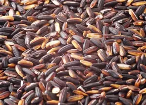 Arroz negro de alta calidad, el mejor proveedor, venta al por mayor, para vacaciones, 2022 - Product Image 4