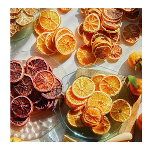 Tranches d'orange biologiques lyophilisées et dés au goût aigre en vrac et sous vide-Packagedfrom Vietnam - Product Image 1