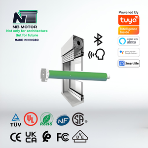 NB <span class=keywords><strong>MOTOR</strong></span> elektronik 35mm 45mm tübüler <span class=keywords><strong>Motor</strong></span> verici ve uzaktan kumanda ile ekran/panjurlar/pencere/araba/tente - Product Image 2