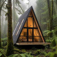 Cabane préfabriquée moderne en forme de A avec structure en acier, isolation et design intérieur personnalisé