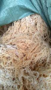 Algas marinas secas de alta calidad Eucheuma Cottonii hechas en Vietnam de 99 DATOS DE ORO - Product Image 5