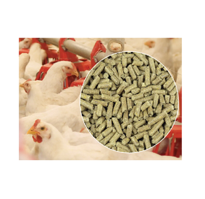 Aliments pour poulets de chair bon marché de qualité supérieure à vendre pleins de protéines et de minéraux pour soutenir le développement sain de la volaille - Product Image 4