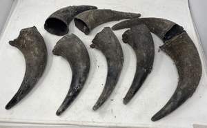 Cuerno de búfalo ecológico para manijas de cubiertos, peines y artículos de moda - Product Image 4