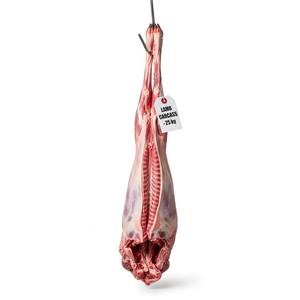 Carcasse d'agneau pleine congelée de qualité supérieure Fourniture en gros de viande de haute qualité prête pour l'exportation Expédition rapide et prix compétitif disponibles - Product Image 5