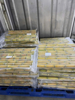 Oem Verse Steel Suikerriet Bevroren Suikerriet Stok/Paal/Kubus/Sap Zowel Geschild Of Hele Hoge Kwaliteit Suikerriet Van Vietnam