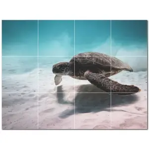 Mural de pared de baldosas de cerámica de tortuga PT501072 48 "W X 36" H Juego de 12 baldosas de cerámica de 12x12 - Product Image 1