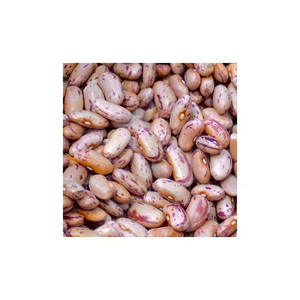 Fèves de sucre entreposées et expédiées dans des conditions optimales pour l'exportation - Product Image 2