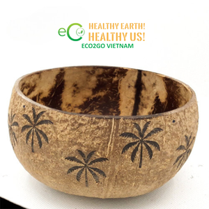 100% bols en noix de coco biodégradables ensemble de tasses en coquille de noix de coco du Vietnam - Product Image 2