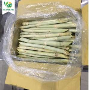 มะม่วงแช่แข็งสด วีเอ็ตเธียนฟู วีทีพี/โอแอล-57 ราคาถูก ขายส่ง คุณภาพสูง ออร์แกนิค - Product Image 6