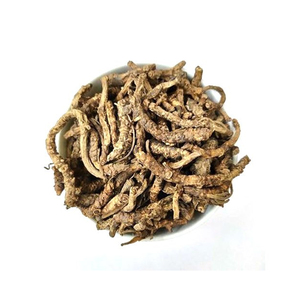 Fournisseur Direct d'Usine - Poudre de Picrorhiza Kurrooa (Kutaki) Naturelle Neuve 5kg - Qualité Supérieure Herbojit International - 18 Mois - Product Image 1