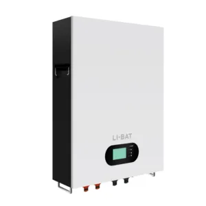 5,12 kWh 9,6 kWh 10,24 kWh 14,3 kWh Lithium-Ionen-Batterie 51,2 V für Zuhause Energiespeicher-Batterie wandmontierte Solarbatterie