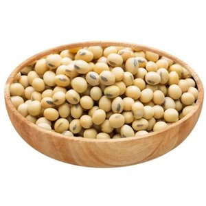 Grano de soja crudo de alta calidad y buena calidad en bolsas para alimentos a bajo precio - Product Image 4