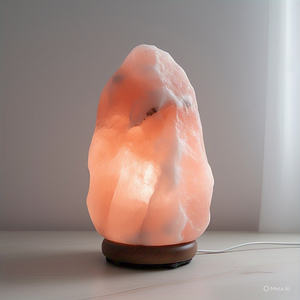Lampe au sel naturel de l'Himalaya avec base en bois Lampe purificatrice d'air de haute qualité à bas prix - Product Image 2