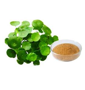 100% Organique Certifié Centella Asiatica Extrait De Plantes Poudre Étiquette Personnalisée Emballage OEM Disponible À La Vente - Product Image 1