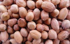 Arachides entières séchées crues biologiques 25 kg/sac - Product Image 5