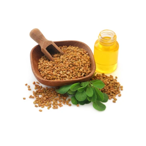 100% Pure Natural <b>Fenugreek</b> Seed Extract Cosmetic <b>Fenugreek</b> <b>Oil</b> for Hair <b>Fenugreek</b> <b>Oil</b> - Product Image 1
