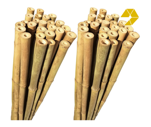 Cañas de Bambú de Fábrica, Cañas de Bambú Sólidas para Paisajismo, Estructuras, Proyectos al Aire Libre, Suministro de Cañas de Bambú de Vietnam - Product Image 1