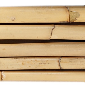Poteaux en rotin 40-65mm, matière première de l'akina du vietnam - Product Image 2