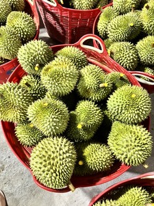 Producto entero y de pulpa de Durian congelado de Vietnam HECHO DE durians de mes Premium ideal para uso en panadería y bebidas - Product Image 4