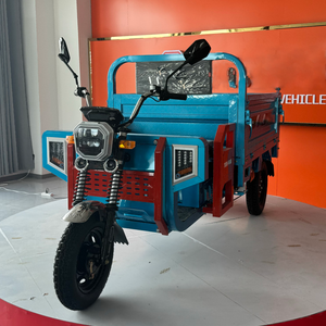 Triciclo Eléctrico de Alta Calidad para Transporte de Pasajeros en Sudáfrica e <span class=keywords><strong>India</strong></span>, Triciclo Eléctrico de 3 Ruedas para Viajes Urbanos para Adultos - Product Image 1