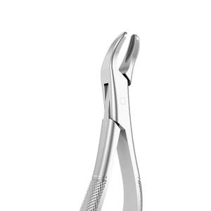 Alicates de extracción dental de primera calidad Pinzas de extracción de dientes quirúrgicos Instrumentos de acero inoxidable Servicios OEM ofrecidos SAJ Surgical - Product Image 2