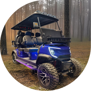 รถเข็นกอล์ฟไฟฟ้าแบบยกแบตเตอรี่ลิเธียมอัจฉริยะ6ที่นั่ง - Product Image 6