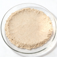 Poudre d'oxyde de magnésium (MgO) de qualité supérieure, légèrement brûlée, pour usage industriel, vente en gros