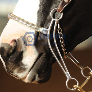 Combinación de acero inoxidable Hackamore, alambre trenzado de hierro, Boca de filete, broca de caballo, equipo de equitación suave, veterinario - Product Image 5
