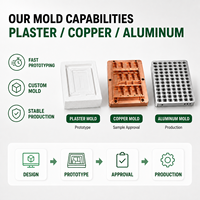 Insert de plateau blister en PET transparent, moulé sur mesure, ajustement précis, empilable, OEM ODM