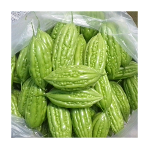 แผ่นแตงขมแช่แข็งคุณภาพสูงจากเวียดนามแปรรูปเพื่อความสดใหม่บรรจุภัณฑ์จำนวนมากรสหวาน - Product Image 4