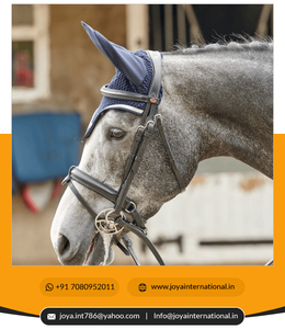 ORSE-Ridle & eins Uy, nline ndia, astwood - Product Image 6