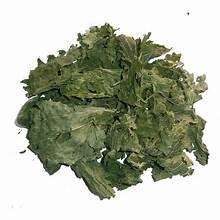 ผลิตภัณฑ์สมุนไพรใบตำแยแห้งบริสุทธิ์สำหรับการสนับสนุนภูมิคุ้มกันจากธรรมชาติดีท็อกซ์และฉลากชาที่สะอาด - Product Image 5