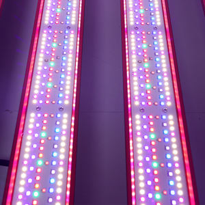 Luz de Cultivo LED de Espectro Completo para Interiores, Personalizable de 600W-1500W, LM301H de Alta Potencia, para el Crecimiento de Vegetales en Invernadero - Product Image 3