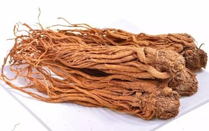 Racines entières de Dong Quai séchées naturellement, solution à base de plantes pour la santé et le bien-être des femmes, vente en gros d'usine - Product Image 4