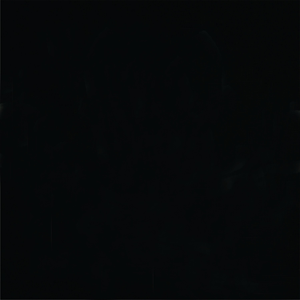 T-shirt à séchage rapide 100% coton Design personnalisé et logo Style Hip Hop Impression graphique lourde Coupe surdimensionnée avec stock disponible - Product Image 4