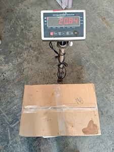 Caballa del Pacífico Congelada IQF al por Mayor con 12 Meses de Vida Útil y Servicios de Personalización Altamente Flexibles - Product Image 5