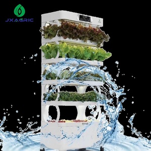 Gabinete <span class=keywords><strong>de</strong></span> Jardín Hidropónico Inteligente para Interiores con Luz LED <span class=keywords><strong>de</strong></span> Cultivo, Sistema <span class=keywords><strong>de</strong></span> Cultivo <span class=keywords><strong>de</strong></span> Plantas para Lechuga, Hierbas, Ensaladas, Vegetales, <span class=keywords><strong>Cocina</strong></span> y Hogar - Product Image 6