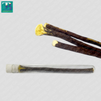 Support de bâtonnet de miswak naturel Al-MUMEEZ de qualité supérieure, brosse à dents jetable à poils doux pour l'hygiène buccale, design olive, 100 % biodégradable