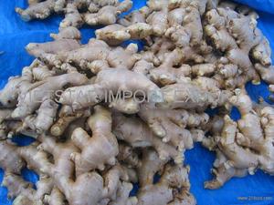 Jengibre seco y vegetal, jengibre 2022 al aire, el mejor precio, venta por vacaciones - Product Image 6