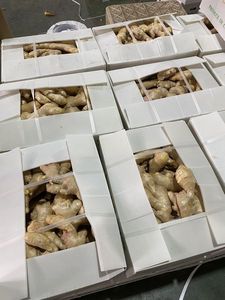 2024ขมิ้นสดหั่นเป็นชิ้นเครื่องเทศทั้งเมล็ดและพริกไทย - Product Image 6