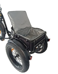 NUEVO Triciclo Eléctrico de 750W para Aventuras, Trike UL - Product Image 4