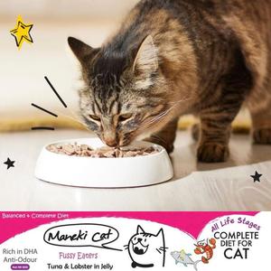 2024เก็บอาหารแมวทูน่าฟักทองแมว2ปีแห้งและแห้ง - Product Image 5