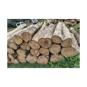 Bois de chauffage africain en teck en vrac prêt à être expédié aux distributeurs et aux détaillants - Product Image 2
