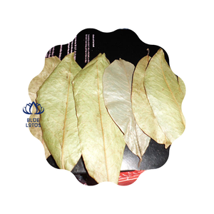 Daun Sirsak Kering