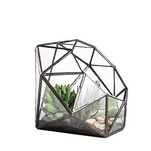 Accessoires de décoration de café ou de café de qualité supérieure Vente chaude Terrarium en verre de forme irrégulière Terrarium en verre transparent - Product Image 5